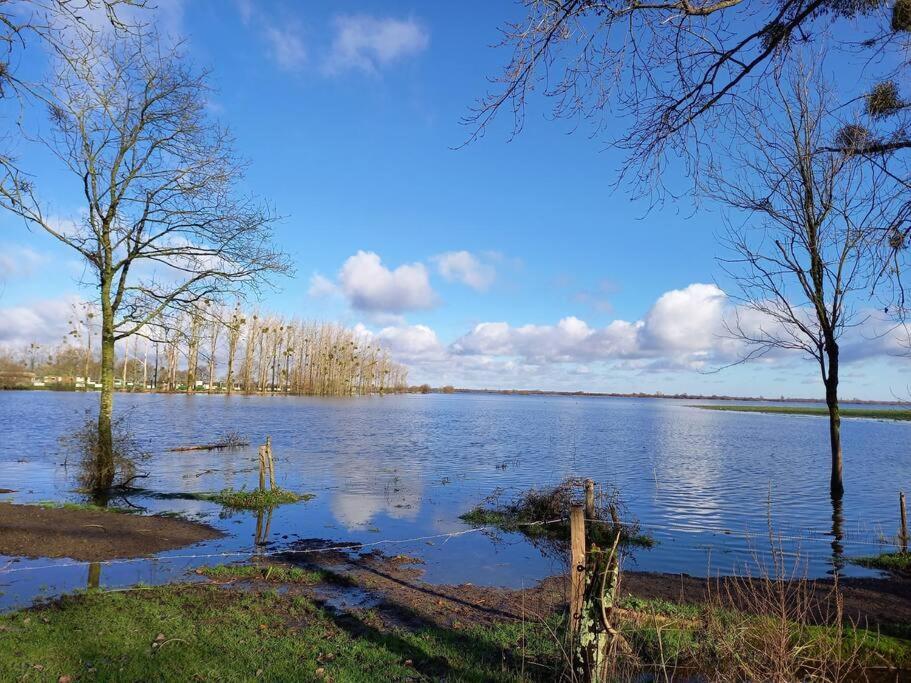 Lac Grand Lieu : Maisonnette Au Calme Avec Jardin Saint-Lumine-de-Coutais Экстерьер фото